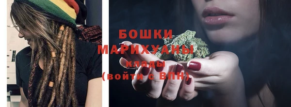 2c-b Горно-Алтайск