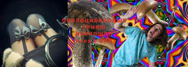 бошки Горнозаводск