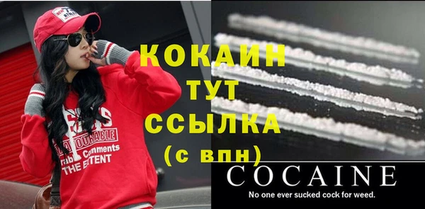 2c-b Горно-Алтайск