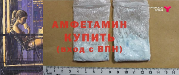 2c-b Горно-Алтайск