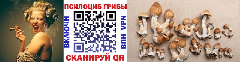 Псилоцибиновые грибы Magic Shrooms  Купить  Наро-Фоминск 
